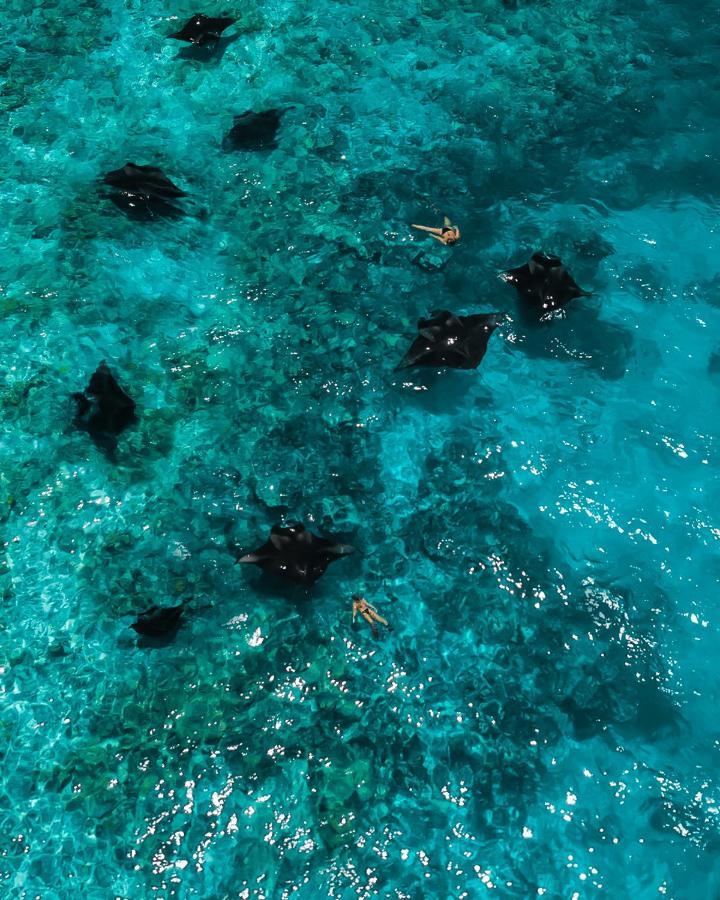 The Mureed Fulidhoo Exterior photo